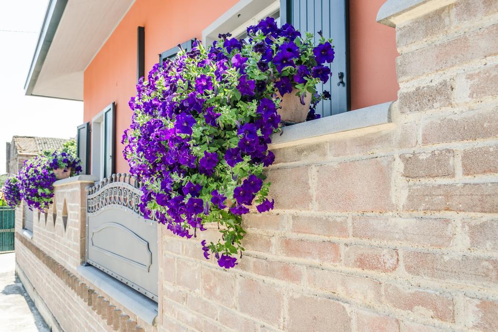 Borgo Dragani Hotel Ortona Exterior foto